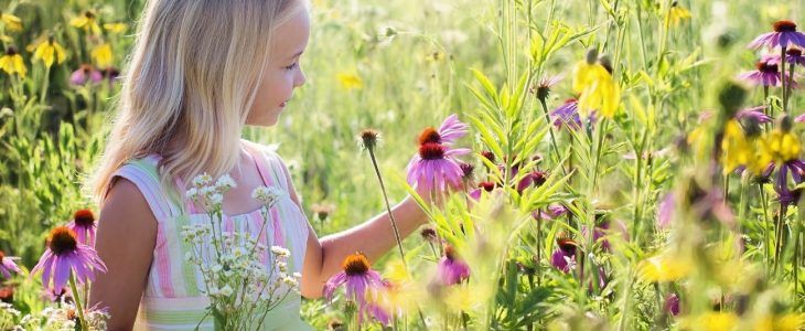 Beneficios de la naturaleza para los niños